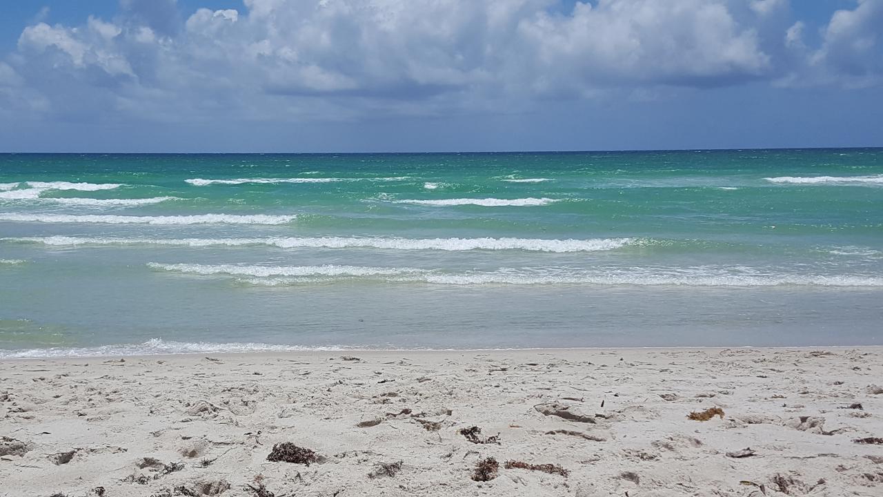 2 Bedroom 2 Bath Beachfront Condo On Miami Beach Millionaire Row Buitenkant foto